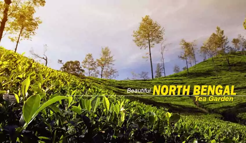 West Bengal Heritage & Hill Station Tour